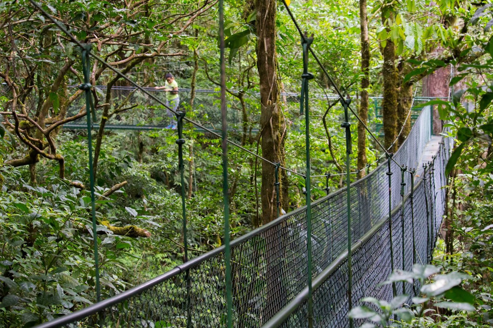 100% Aventura Monteverde