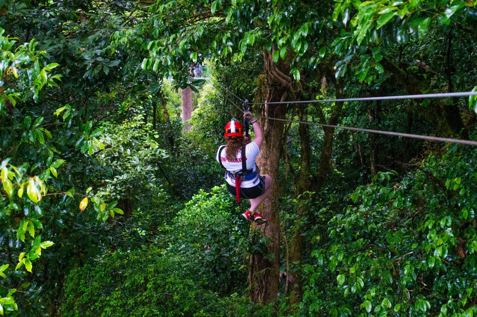 100% Aventura Monteverde