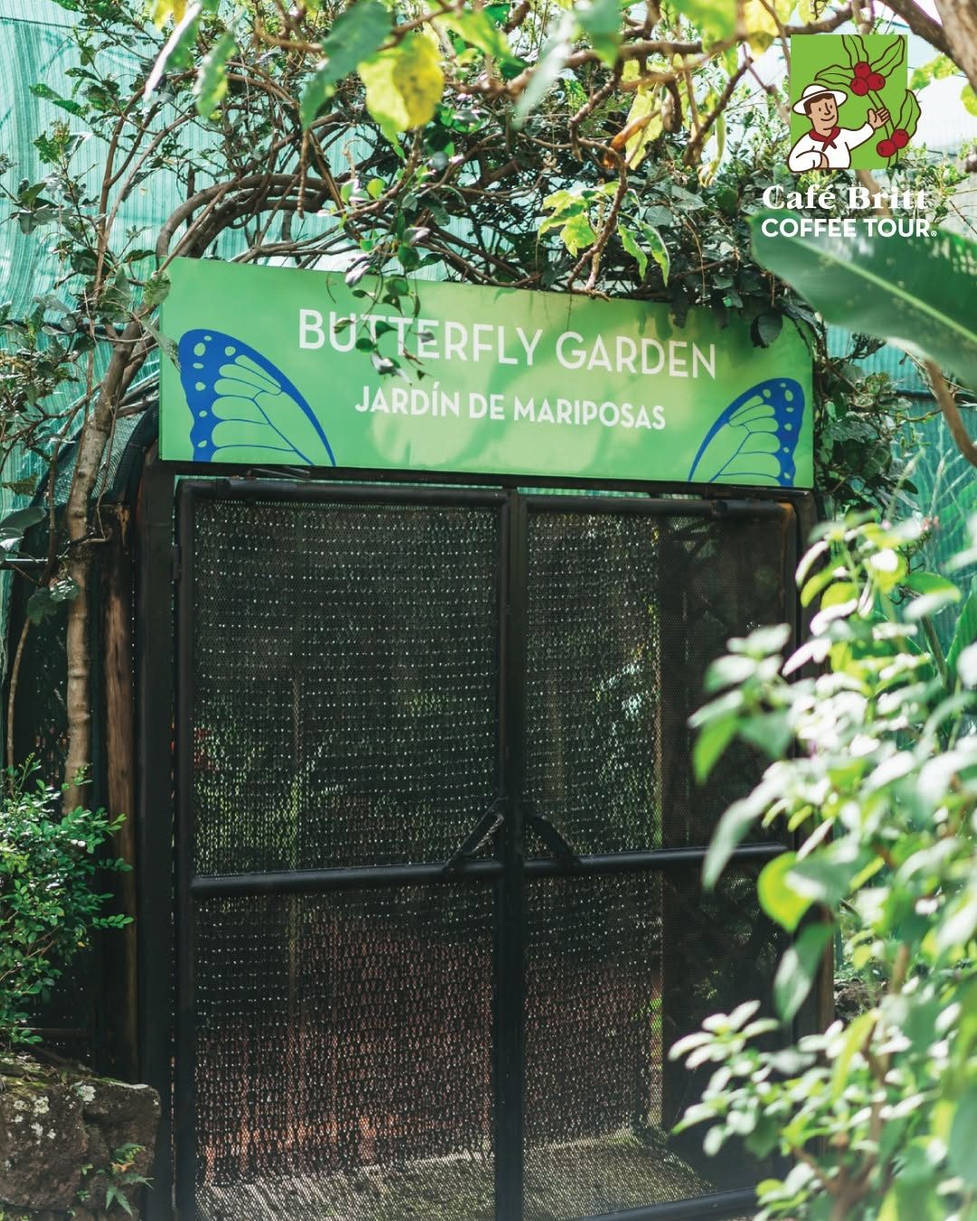 Britt Coffee Tour