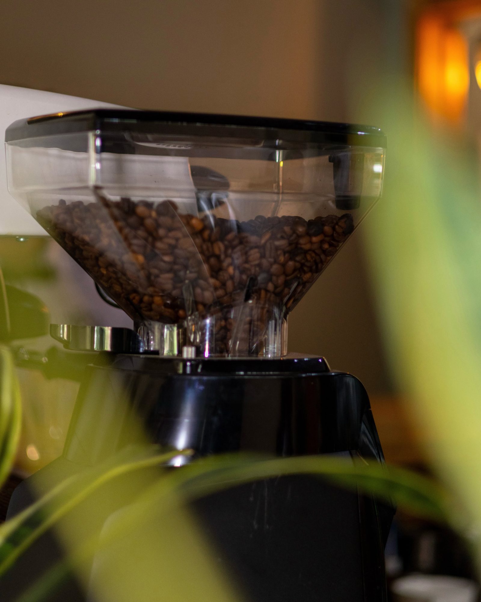 Café Otoya Bistró