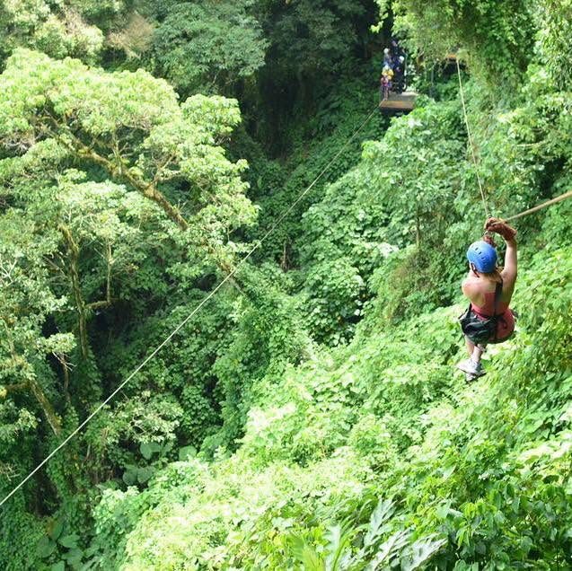 Canopy La Carpintera