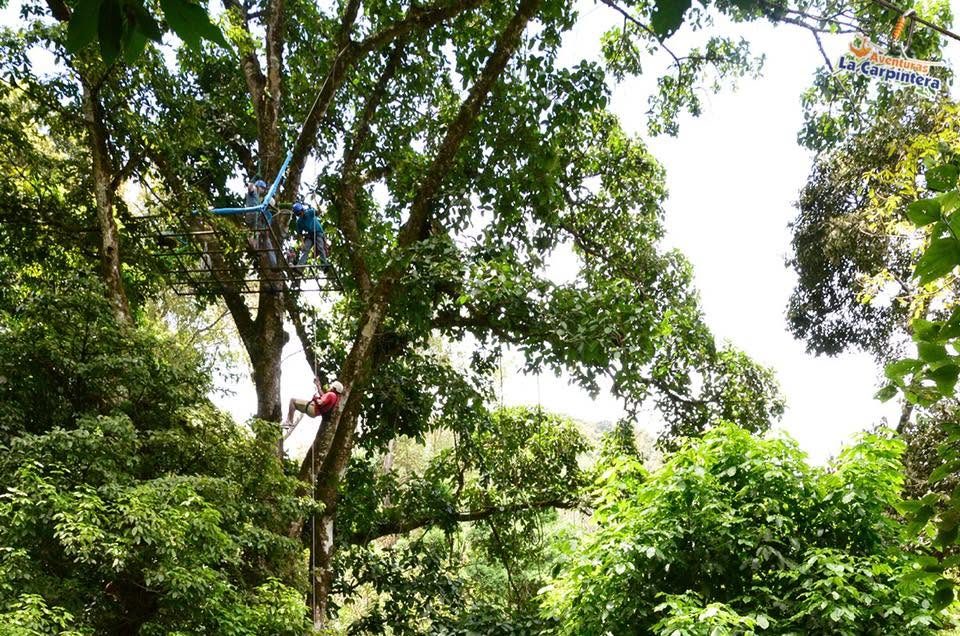 Canopy La Carpintera