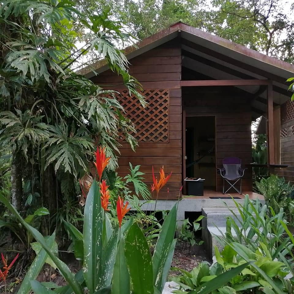 Casa Cecropia