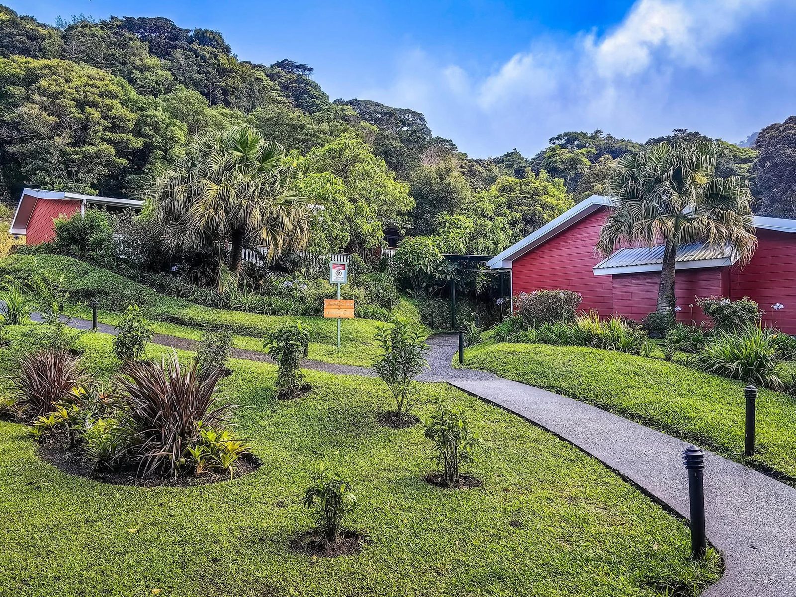 Cloud Forest Lodge