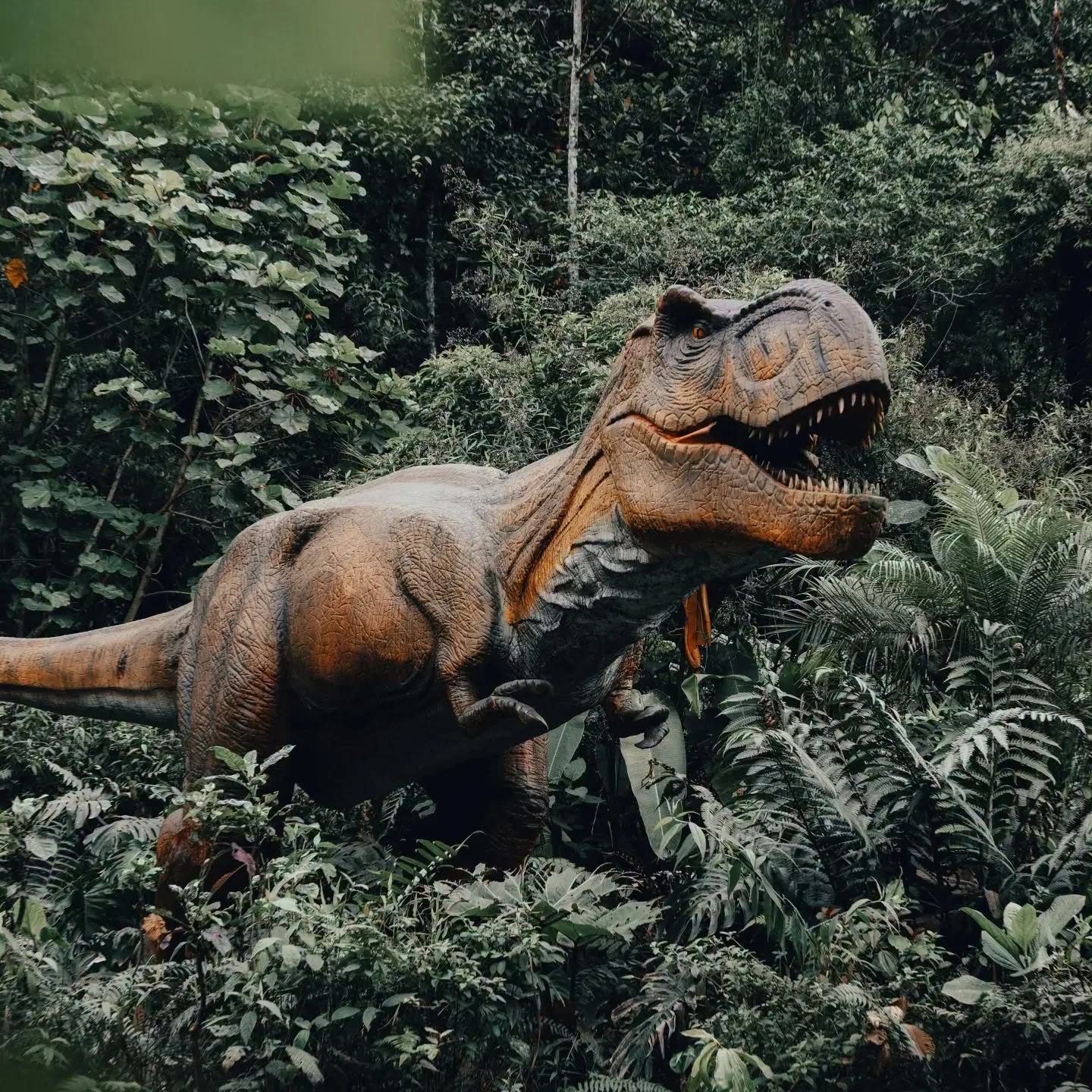 Dinoland Costa Rica