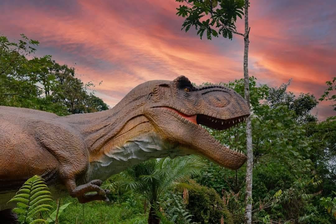 Dinoland Costa Rica