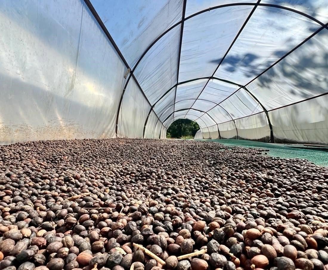 Finca Rosa Blanca Coffee Farm & Inn