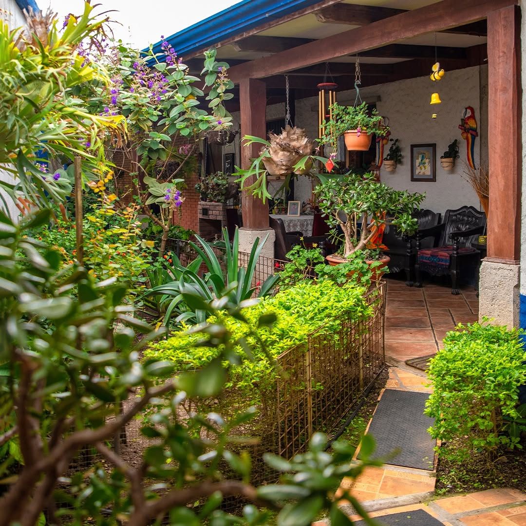 La Casa de Mamá Coyita