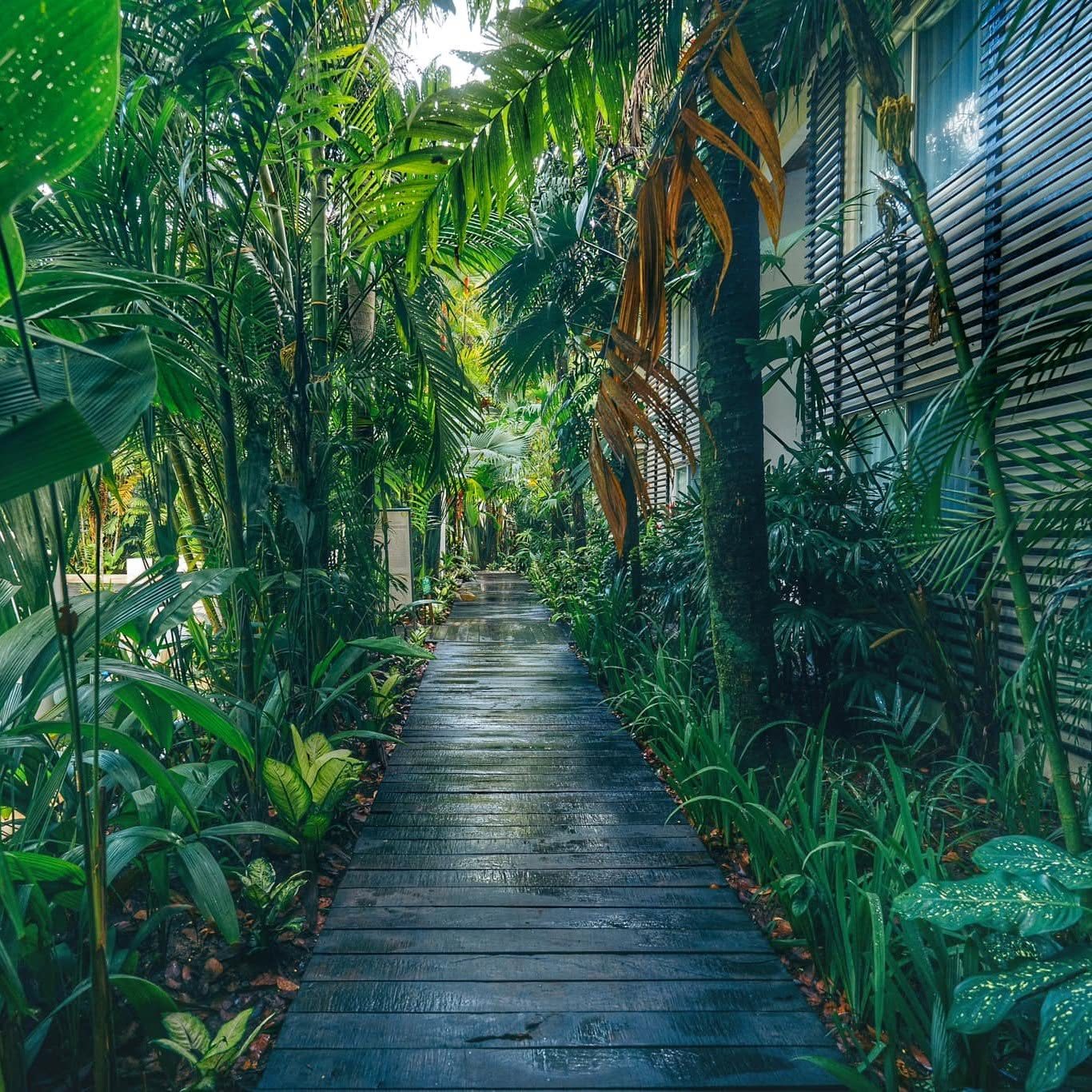 Le Cameleon Boutique Hotel