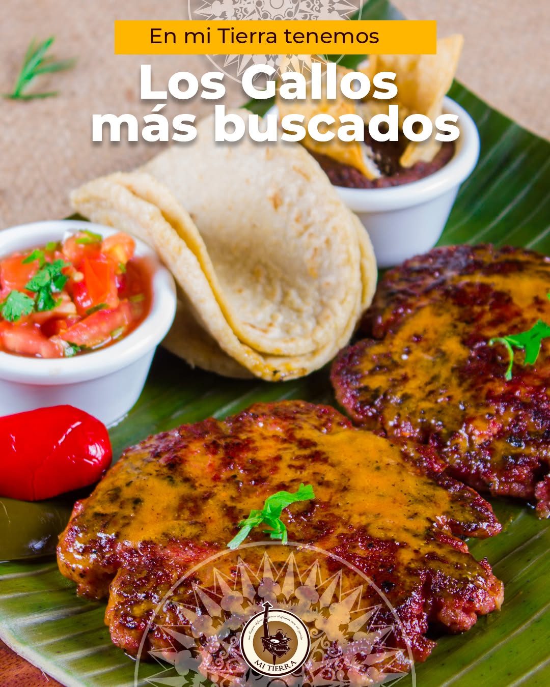 Mi Tierra Cartago