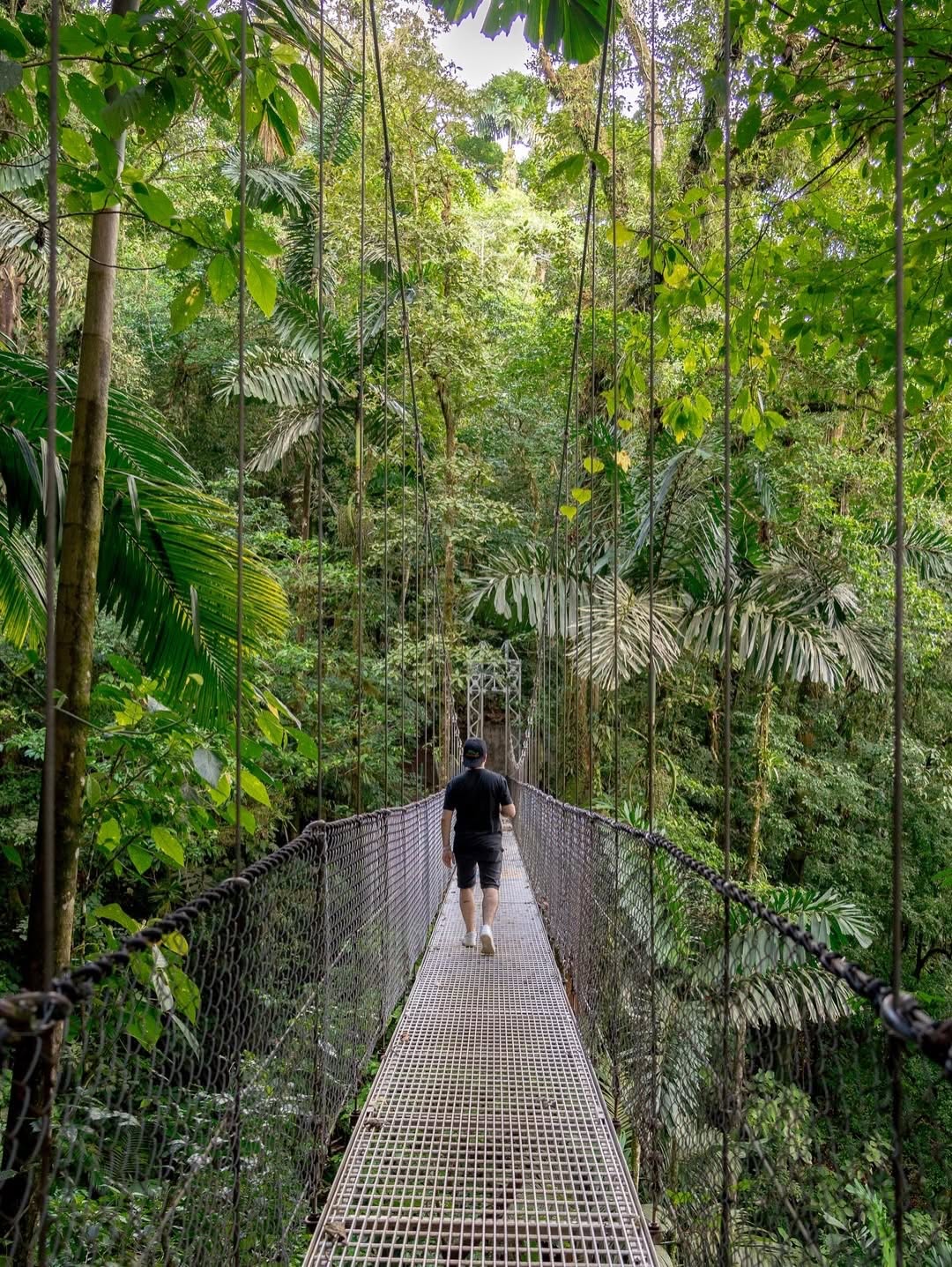 Mistico Park – Puentes Colgantes