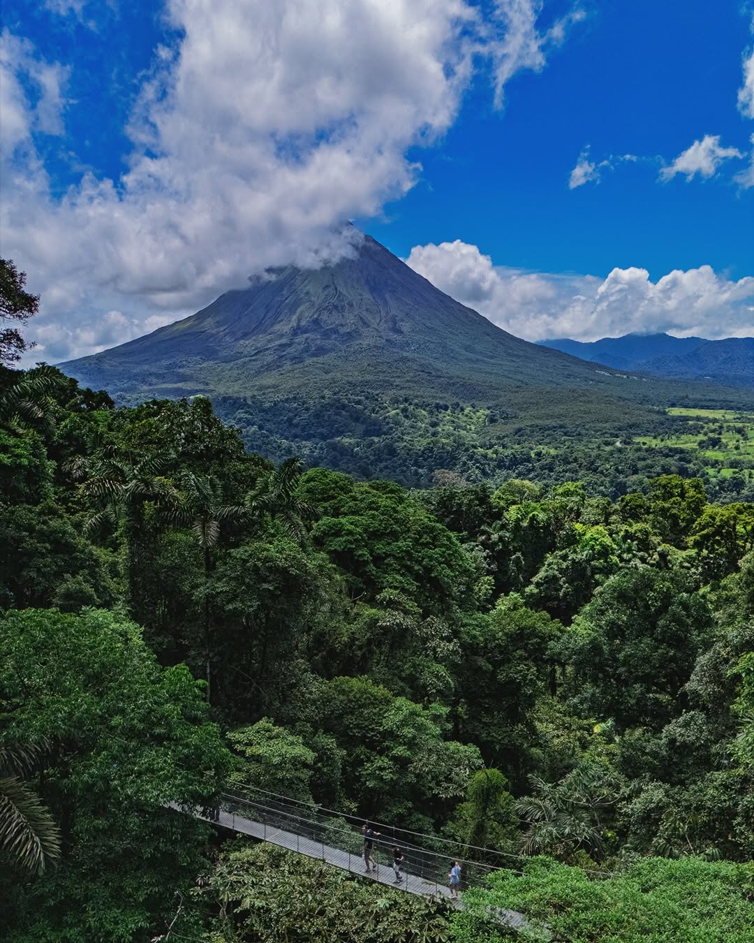 Mistico Park – Puentes Colgantes