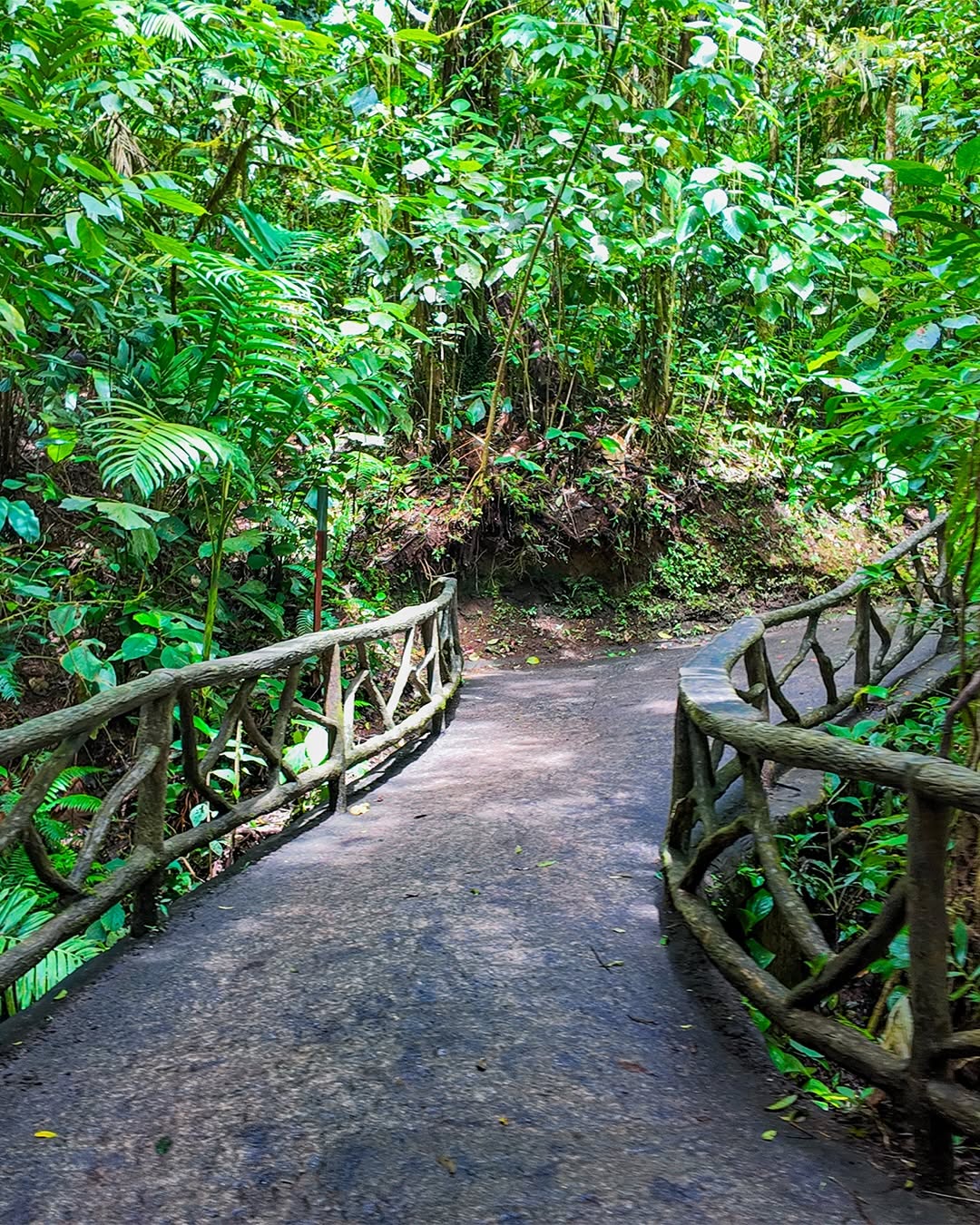 Mistico Park – Puentes Colgantes