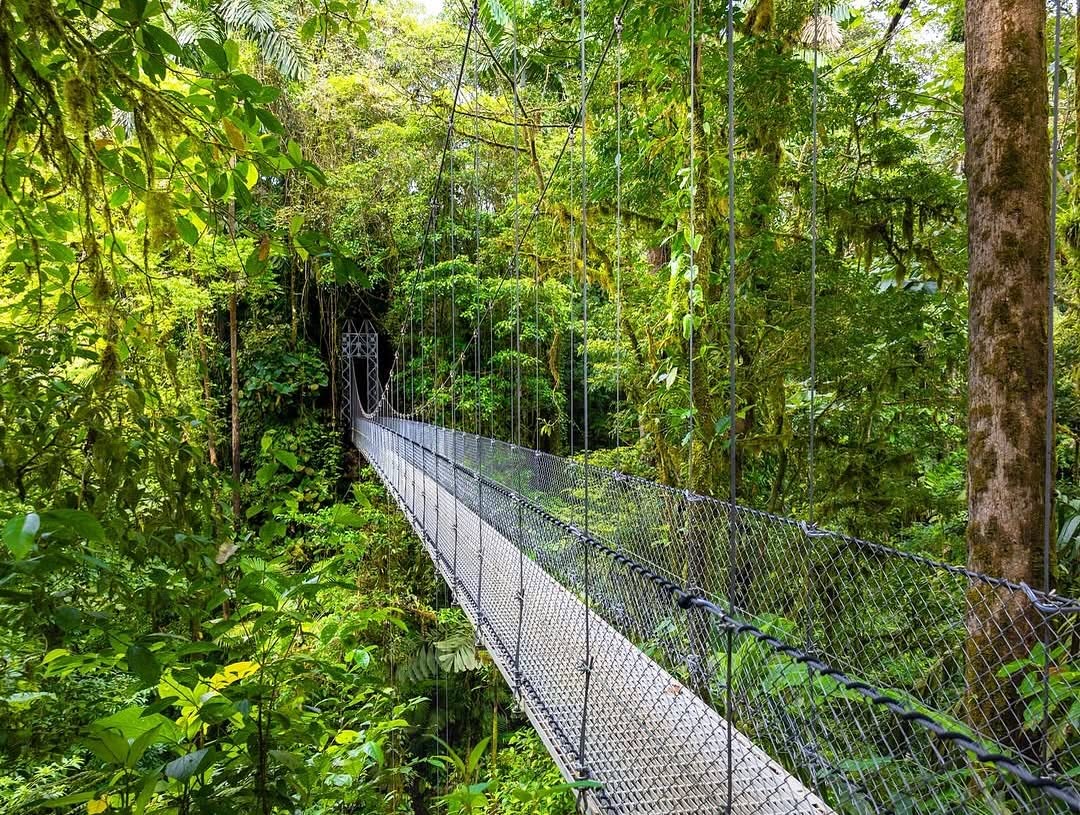 Mistico Park – Puentes Colgantes