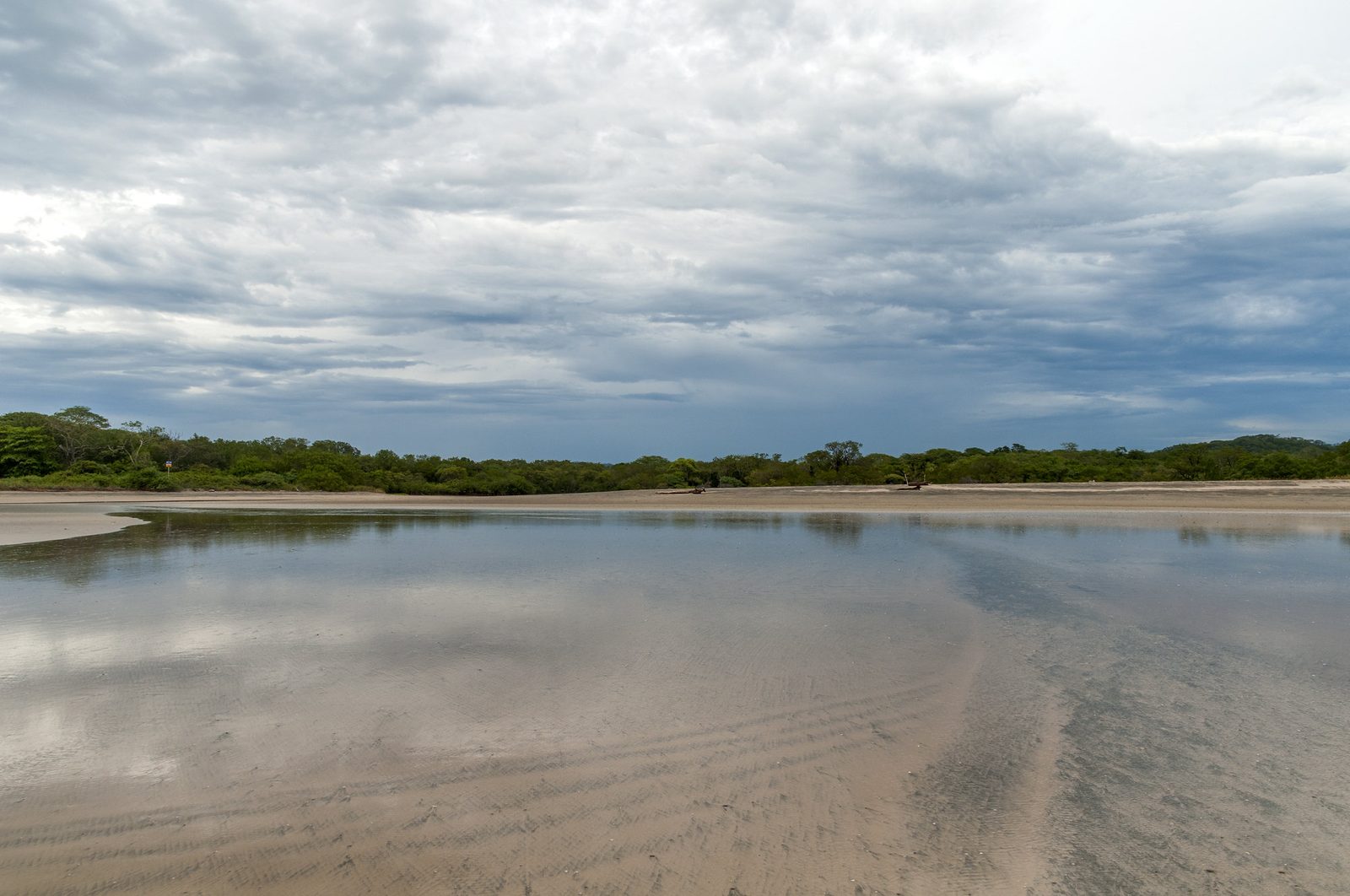 Playa Avellanas