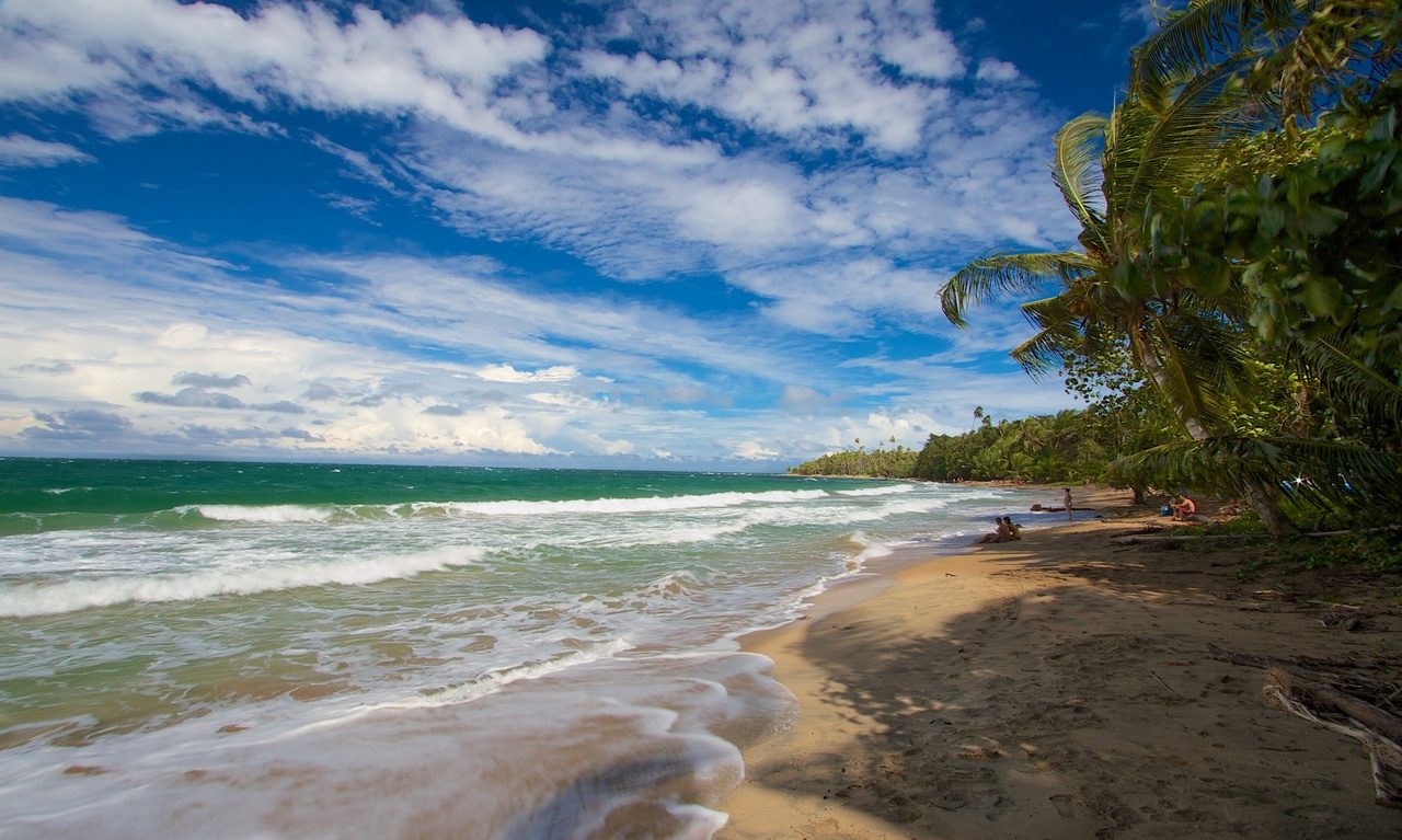 Playa Punta Uva