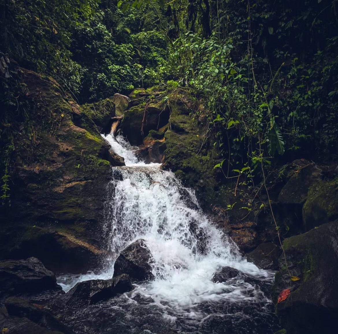 Pozas y Cascadas La Presa