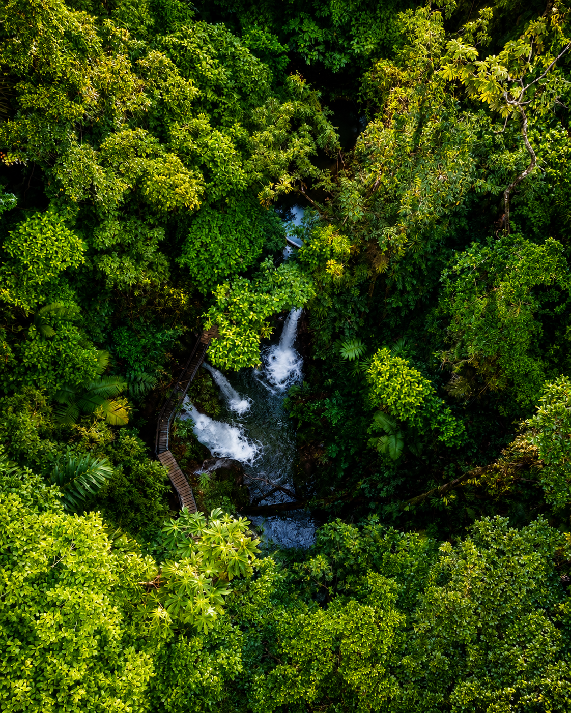 Pozas y Cascadas La Presa