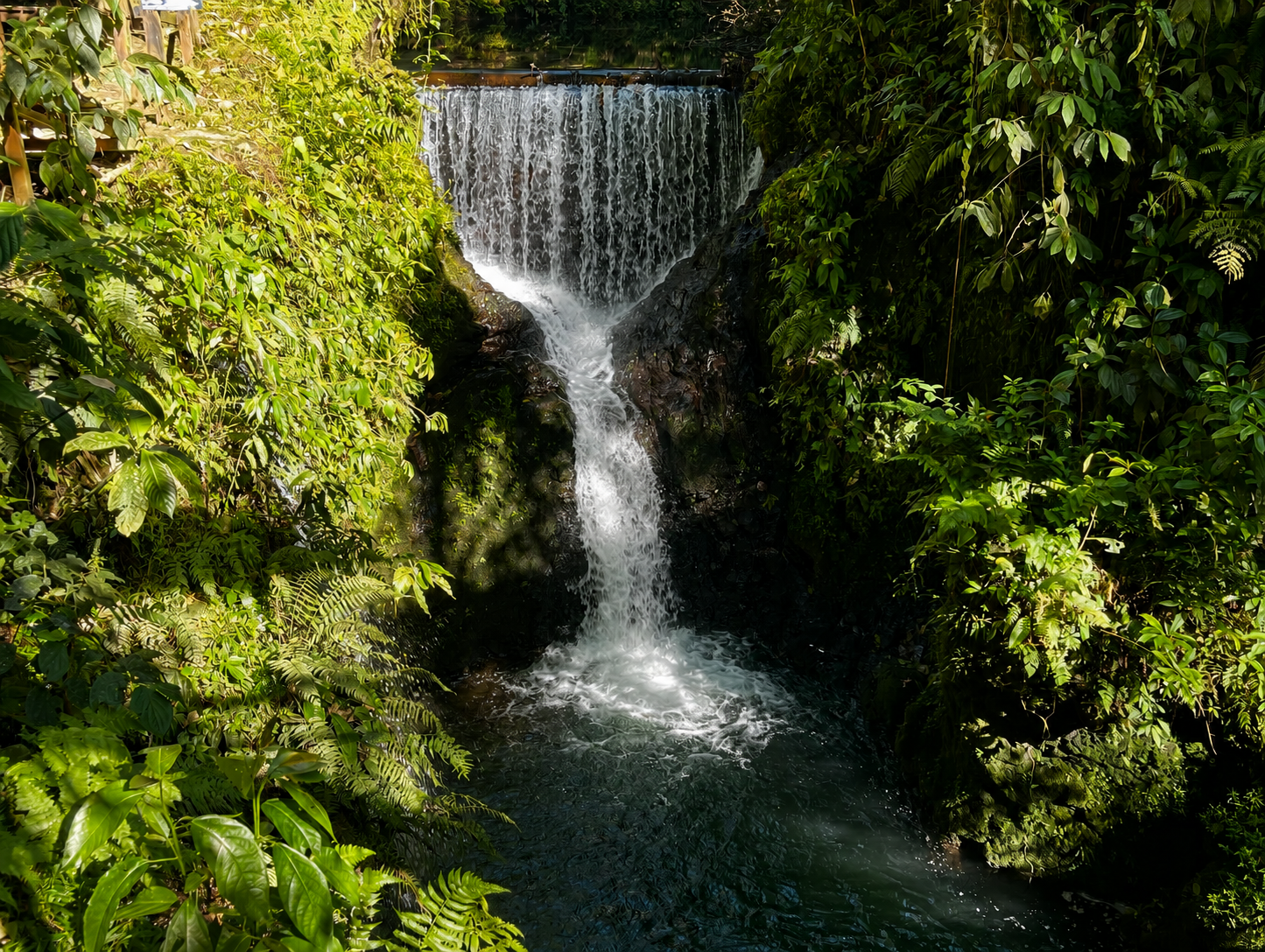 Pozas y Cascadas La Presa