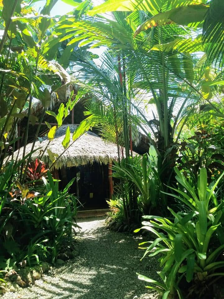 PURE Jungle Spa