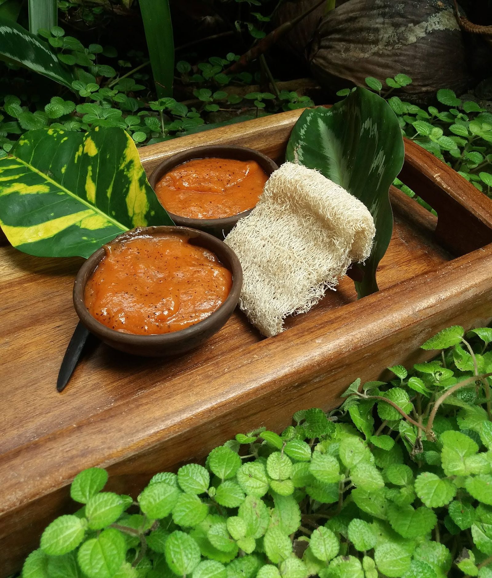 PURE Jungle Spa