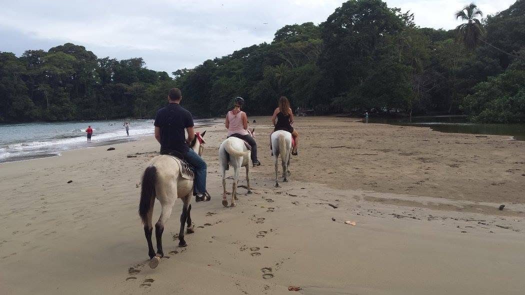 Ride the Rainforest